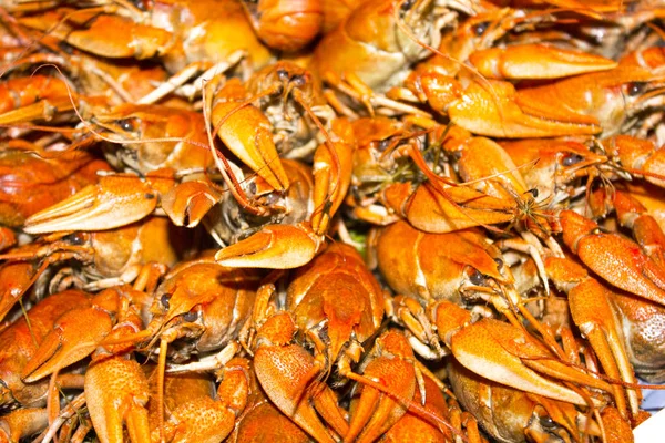 Lagosta Vermelha Comida Mar — Fotografia de Stock