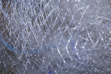 Balık net arka plan dokusu