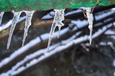 Icicle'ı kış kar frost