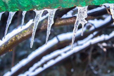 Icicle'ı kış kar frost