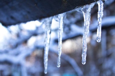 Icicle'ı kış kar soğuk