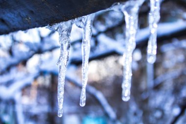 Icicle'ı kış kar soğuk