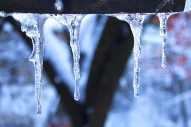 Icicle'ı kış kar soğuk
