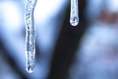 Icicle'ı kış kar soğuk