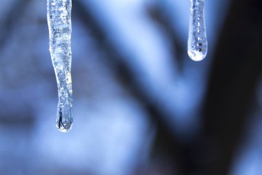 Icicle'ı kış kar soğuk