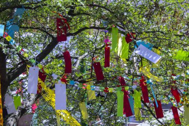 ağaç origami kağıt dekorasyon