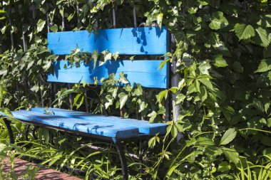 mavi tezgah Ivy park 