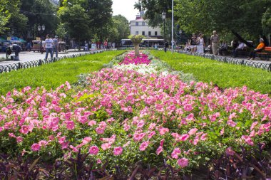 Bahçe Yatak pembe çiçekler