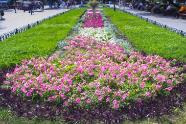 Bahçe Yatak pembe çiçekler