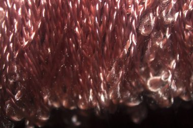 ipek iplik arka plan dokusu