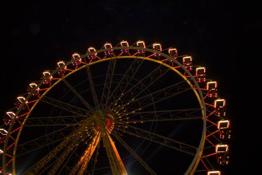 Karnaval dönme dolap carusel