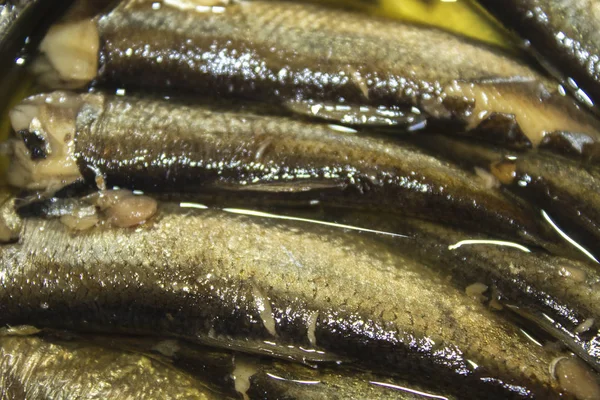 Sprotten Fischfutter Glas — Stockfoto