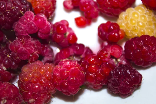 Raspberries Fruit White Background — Stock Photo, Image