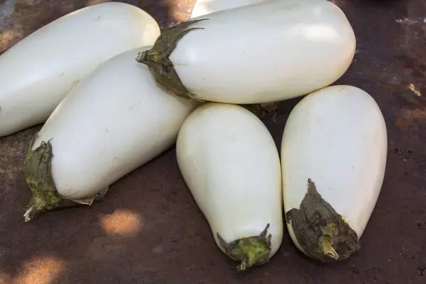 White Eggplant Vegetables Food — Stock Photo, Image