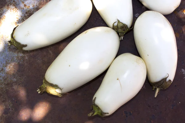 Vit Aubergine Grönsaker Mat — Stockfoto