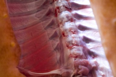 domuz domuz eti et karkas