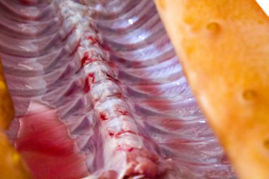 domuz domuz eti et karkas