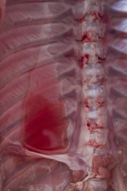 domuz domuz eti et karkas