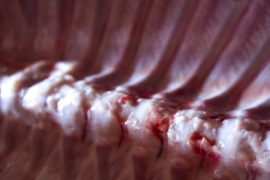 domuz domuz eti et karkas