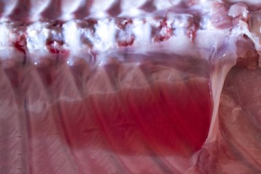 domuz domuz eti et karkas