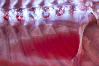 domuz domuz eti et karkas