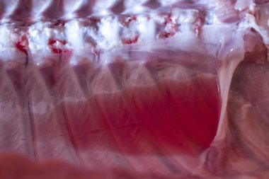 domuz domuz eti et karkas