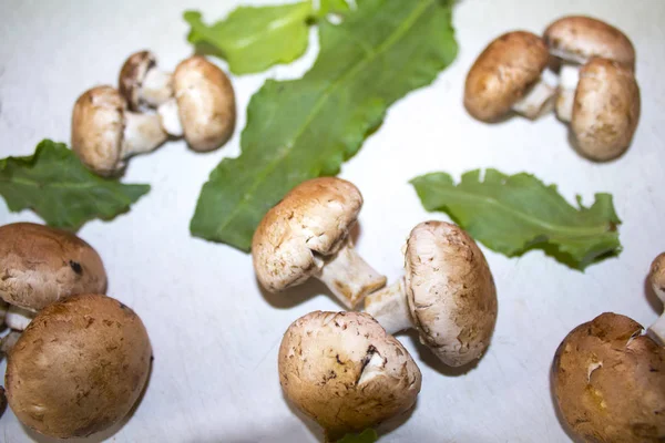 Cogumelos Champignon Textura Fundo — Fotografia de Stock