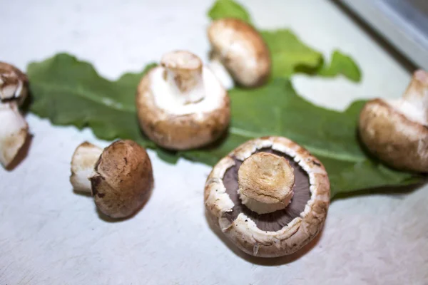 Mushrooms Champignon Texture Background — Stock Photo, Image