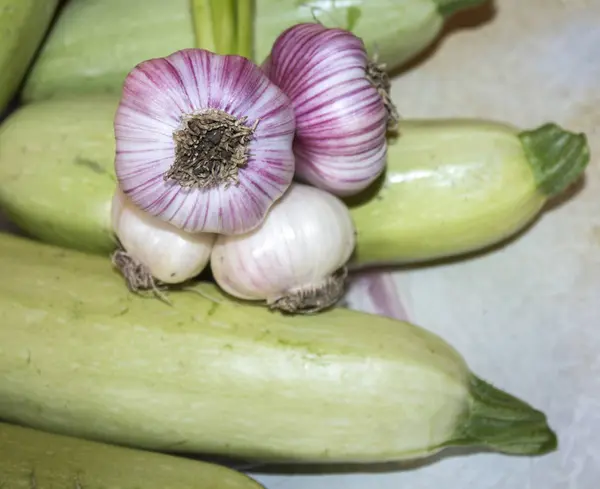 Pianta Verdure Aglio Zucchine — Foto Stock