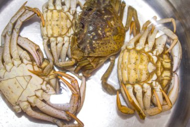 yeşil yengeç kabuk ters