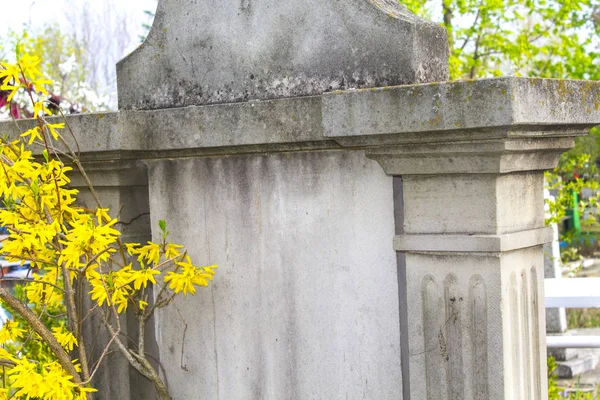 Primavera Giallo Cespuglio Parete Monumento Tomba — Foto Stock