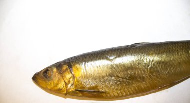 hamsi yemek ringa balığı balık