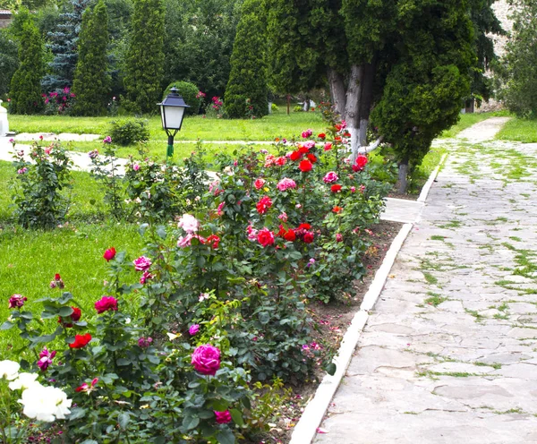 Jardim Lâmpada Tijolo Caminho Flores — Fotografia de Stock