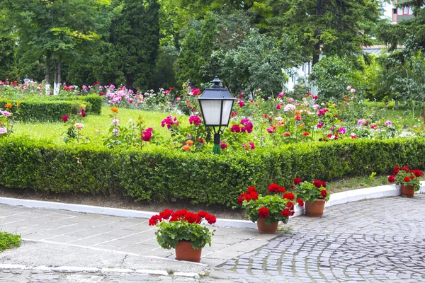 garden lamp brick pathway flowers