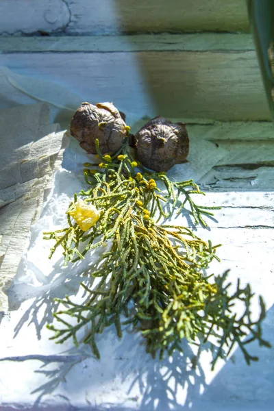 Höst Bukett Torra Blommor — Stockfoto