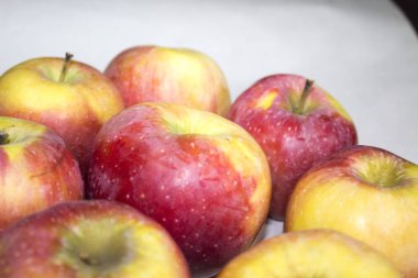 kırmızı çiçek meyve beyaz arka plan