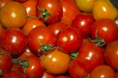 kırmızı domates sebze arka plan