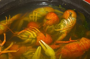 haşlanmış kerevit su gıda