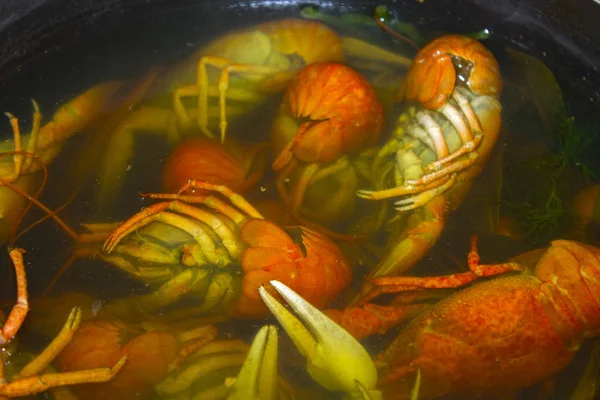 haşlanmış kerevit su gıda