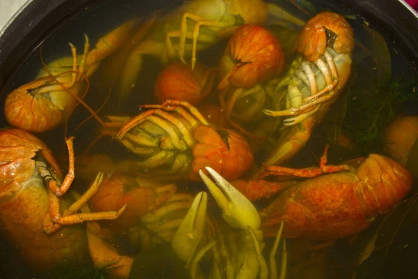 haşlanmış kerevit su gıda