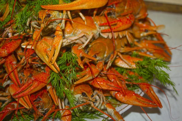 Alimento Cangrejos Río Rojos Cocidos — Foto de Stock