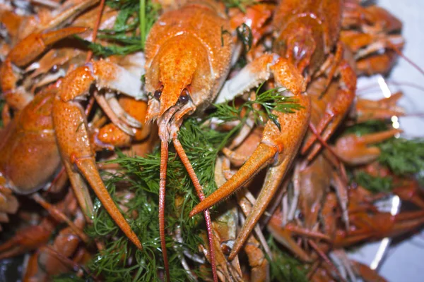 Nourriture Pour Écrevisses Rouges Bouillies — Photo