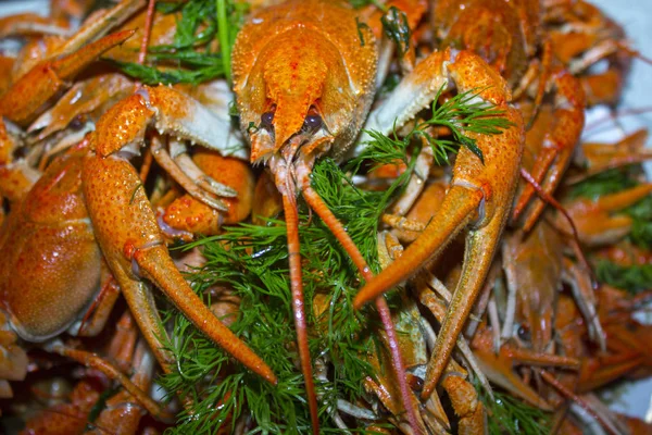 Alimento Cangrejos Río Rojos Cocidos — Foto de Stock