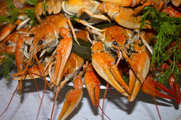 Alimento Cangrejos Río Rojos Cocidos — Foto de Stock