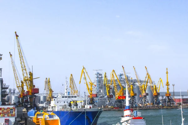 Port Industry Transportation Crane — Stock Photo, Image