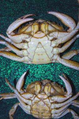 yeşil yengeç kabuk ters