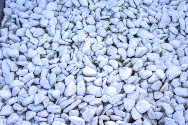 White Pebbles Stone Background Texture — Stock Photo, Image