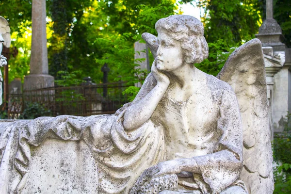 Viejo Tumba Ángel Tumba Estatua Escultura — Foto de Stock