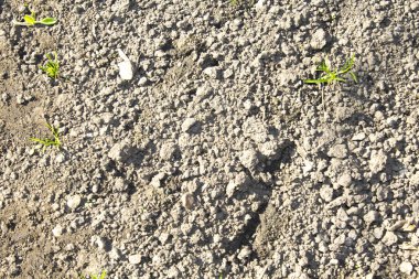 Kuru tarımsal kahverengi toprak arka plan dokusu