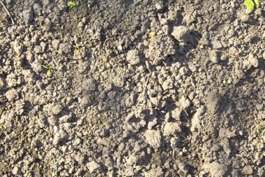 Kuru tarımsal kahverengi toprak arka plan dokusu